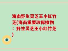 海南野生灵芝王小红竹芝(海南重要珍稀植物：野生灵芝王小红竹芝)