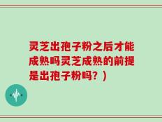 灵芝出孢子粉之后才能成熟吗灵芝成熟的前提是出孢子粉吗？)