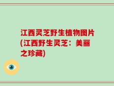 江西灵芝野生植物图片(江西野生灵芝：美丽之珍藏)