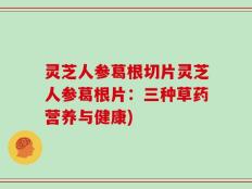 灵芝人参葛根切片灵芝人参葛根片：三种草药营养与健康)