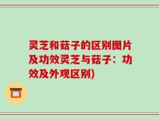 灵芝和菇子的区别图片及功效灵芝与菇子：功效及外观区别)
