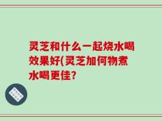 灵芝和什么一起烧水喝效果好(灵芝加何物煮水喝更佳？