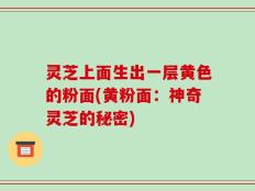 灵芝上面生出一层黄色的粉面(黄粉面：神奇灵芝的秘密)