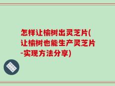 怎样让榆树出灵芝片(让榆树也能生产灵芝片-实现方法分享)