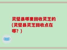 灵璧县哪里回收灵芝的(灵璧县灵芝回收点在哪？)