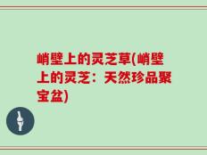 峭壁上的灵芝草(峭壁上的灵芝：天然珍品聚宝盆)