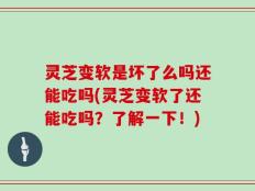 灵芝变软是坏了么吗还能吃吗(灵芝变软了还能吃吗？了解一下！)