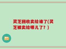 灵芝回收卖给谁了(灵芝被卖给哪儿了？)