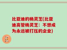 比亚迪的杨灵芝(比亚迪高管杨灵芝：不想成为永远被打压的企业)