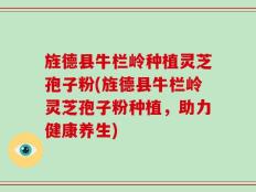 旌德县牛栏岭种植灵芝孢子粉(旌德县牛栏岭灵芝孢子粉种植，助力健康养生)