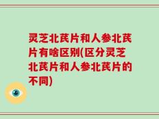 灵芝北芪片和人参北芪片有啥区别(区分灵芝北芪片和人参北芪片的不同)