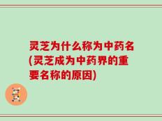 灵芝为什么称为中药名(灵芝成为中药界的重要名称的原因)