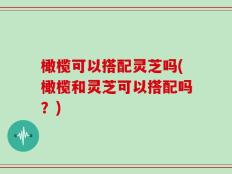 橄榄可以搭配灵芝吗(橄榄和灵芝可以搭配吗？)