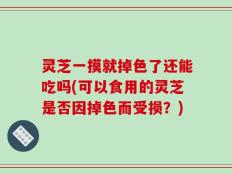 灵芝一摸就掉色了还能吃吗(可以食用的灵芝是否因掉色而受损？)