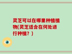 灵芝可以在哪里种植植物(灵芝适合在何处进行种植？)