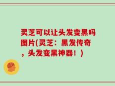 灵芝可以让头发变黑吗图片(灵芝：黑发传奇，头发变黑神器！)
