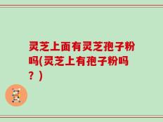 灵芝上面有灵芝孢子粉吗(灵芝上有孢子粉吗？)