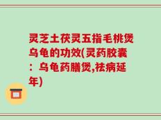 灵芝土茯灵五指毛桃煲乌龟的功效(灵药胶囊：乌龟药膳煲,祛病延年)