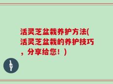 活灵芝盆栽养护方法(活灵芝盆栽的养护技巧，分享给您！)