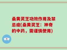 桑黄灵芝功效作用及禁忌症(桑黄灵芝：神奇的中药，需谨慎使用)
