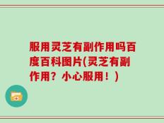 服用灵芝有副作用吗百度百科图片(灵芝有副作用？小心服用！)
