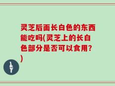 灵芝后面长白色的东西能吃吗(灵芝上的长白色部分是否可以食用？)