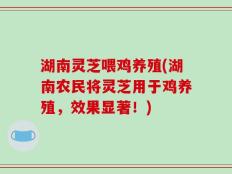 湖南灵芝喂鸡养殖(湖南农民将灵芝用于鸡养殖，效果显著！)