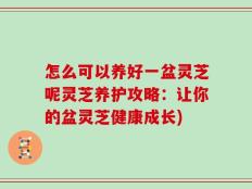 怎么可以养好一盆灵芝呢灵芝养护攻略：让你的盆灵芝健康成长)