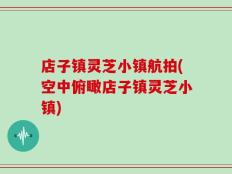 店子镇灵芝小镇航拍(空中俯瞰店子镇灵芝小镇)
