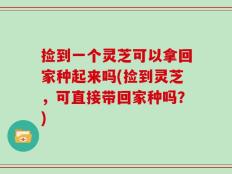 捡到一个灵芝可以拿回家种起来吗(捡到灵芝，可直接带回家种吗？)
