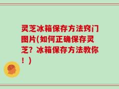 灵芝冰箱保存方法窍门图片(如何正确保存灵芝？冰箱保存方法教你！)