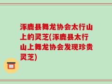 涿鹿县舞龙协会太行山上的灵芝(涿鹿县太行山上舞龙协会发现珍贵灵芝)