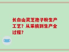 长白山灵芝孢子粉生产工艺？从采摘到生产全过程？