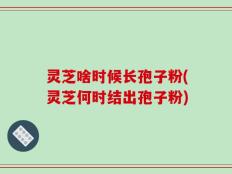 灵芝啥时候长孢子粉(灵芝何时结出孢子粉)