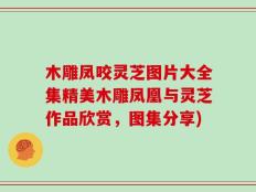 木雕凤咬灵芝图片大全集精美木雕凤凰与灵芝作品欣赏，图集分享)