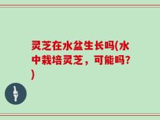 灵芝在水盆生长吗(水中栽培灵芝，可能吗？)