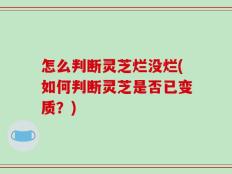 怎么判断灵芝烂没烂(如何判断灵芝是否已变质？)