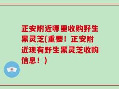 正安附近哪里收购野生黑灵芝(重要！正安附近现有野生黑灵芝收购信息！)