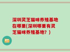 深圳灵芝猫咪养殖基地在哪里(深圳哪里有灵芝猫咪养殖基地？)