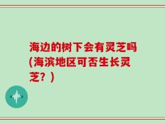 海边的树下会有灵芝吗(海滨地区可否生长灵芝？)
