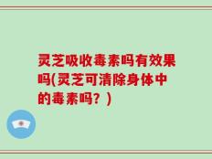 灵芝吸收毒素吗有效果吗(灵芝可清除身体中的毒素吗？)