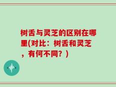 树舌与灵芝的区别在哪里(对比：树舌和灵芝，有何不同？)