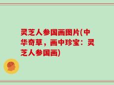 灵芝人参国画图片(中华奇草，画中珍宝：灵芝人参国画)