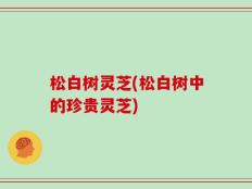 松白树灵芝(松白树中的珍贵灵芝)