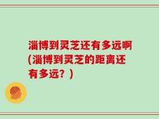 淄博到灵芝还有多远啊(淄博到灵芝的距离还有多远？)