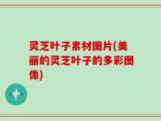 灵芝叶子素材图片(美丽的灵芝叶子的多彩图像)