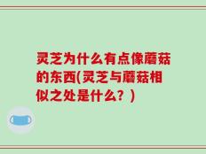 灵芝为什么有点像蘑菇的东西(灵芝与蘑菇相似之处是什么？)