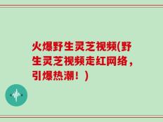 火爆野生灵芝视频(野生灵芝视频走红网络，引爆热潮！)