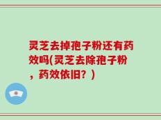 灵芝去掉孢子粉还有药效吗(灵芝去除孢子粉，药效依旧？)