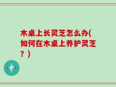 木桌上长灵芝怎么办(如何在木桌上养护灵芝？)